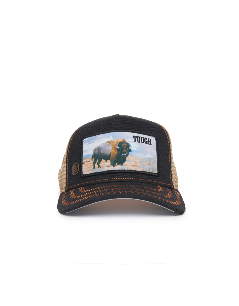 Goorin bros bear cap on sale