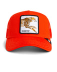 THE NONSTOP CHEETAH BALL CAP