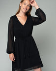 SWISS DOT V-NECK MINI DRESS