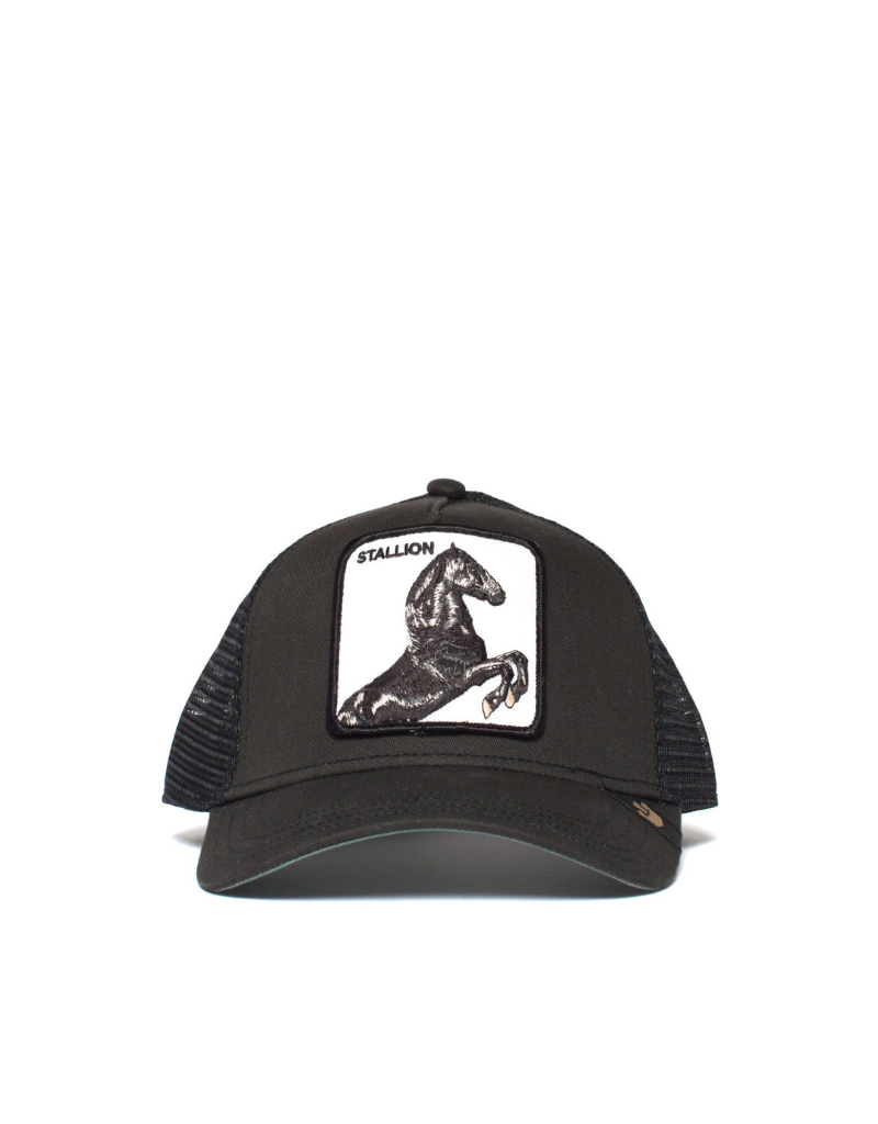 STALLION BALL CAP