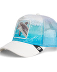 DOLPHIN IN THE ELEMENT BALL CAP