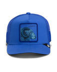 TONAL LEGEND BALL CAP
