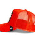 THE NONSTOP CHEETAH BALL CAP