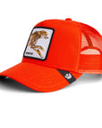 THE NONSTOP CHEETAH BALL CAP