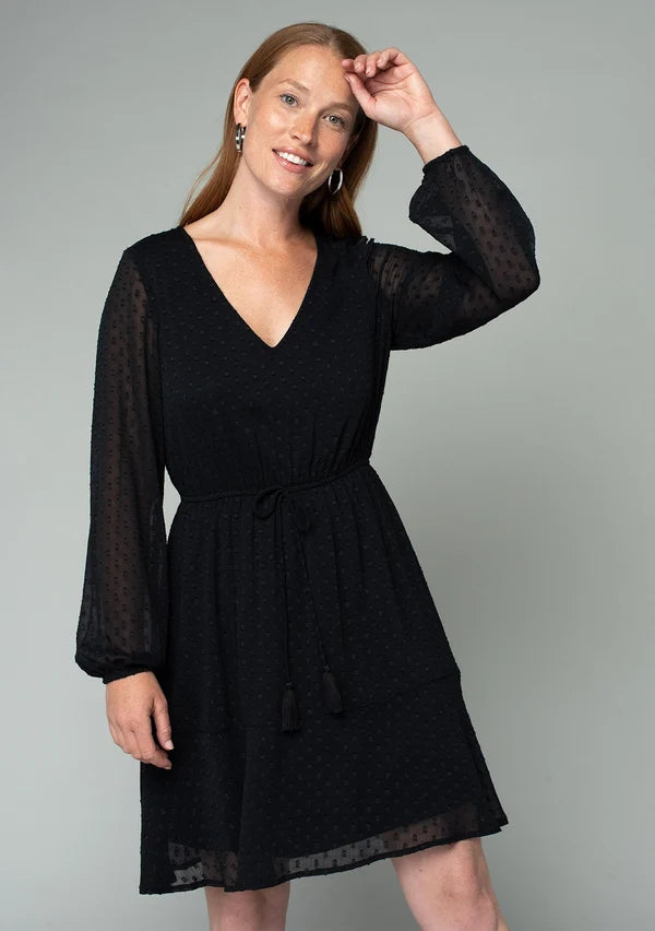 SWISS DOT V-NECK MINI DRESS