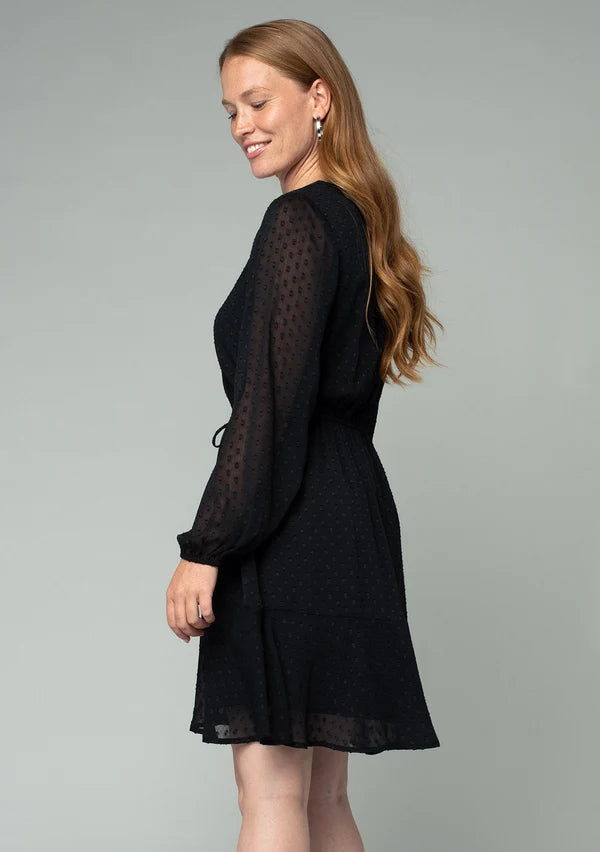 SWISS DOT V-NECK MINI DRESS
