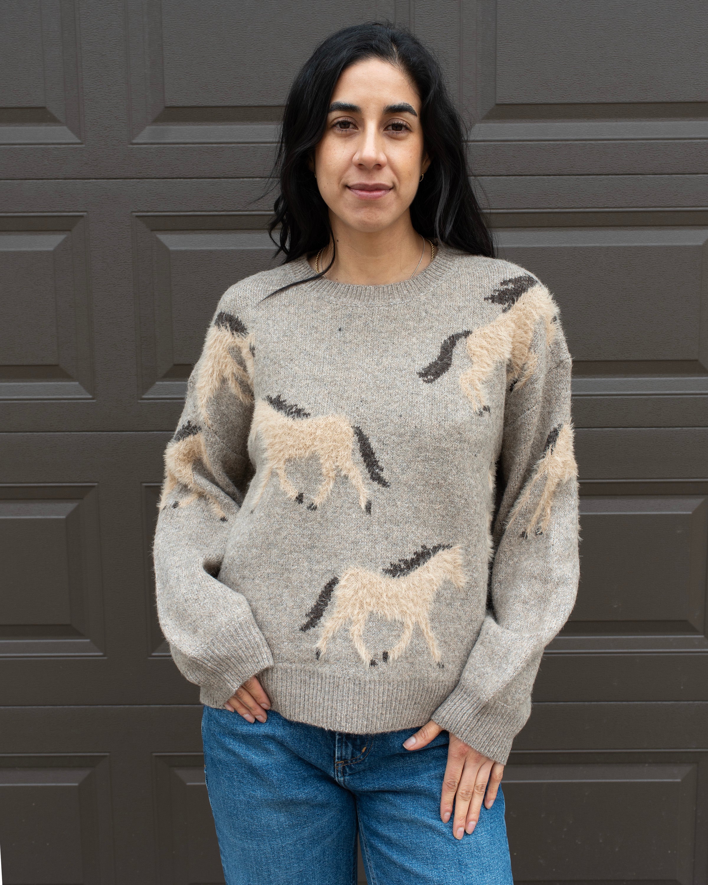 WILD STALLIONS SWEATER