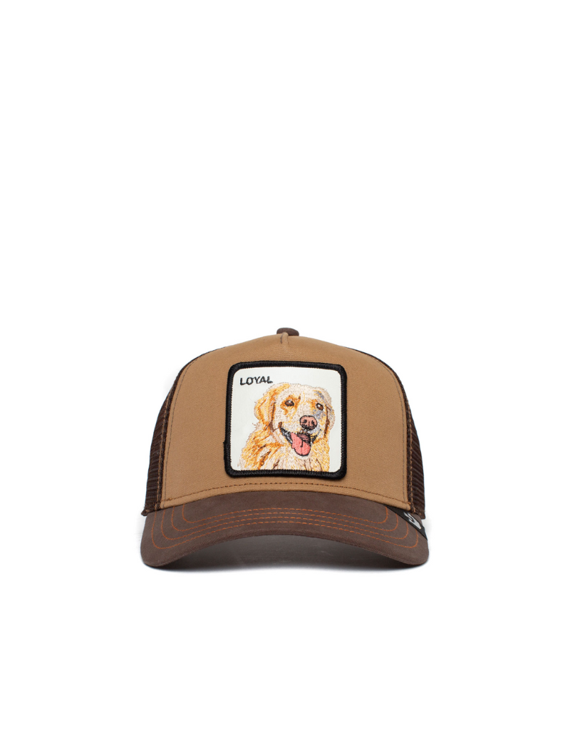THE LOYAL DOG BALL CAP